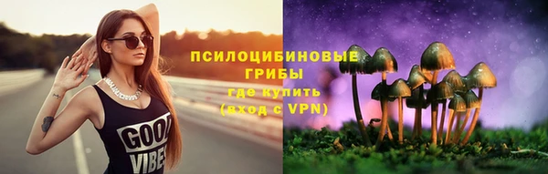 сатива Медногорск