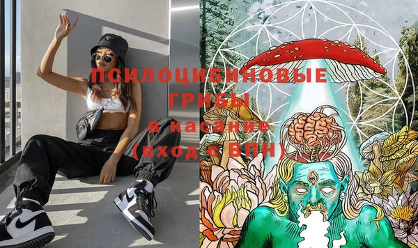PSILOCYBIN Мегион