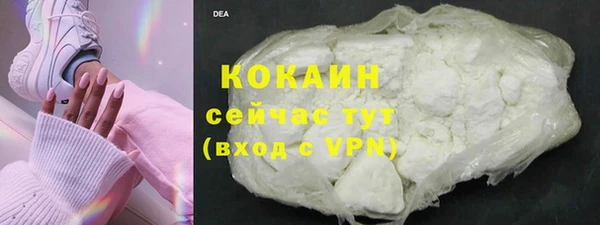 PSILOCYBIN Мегион