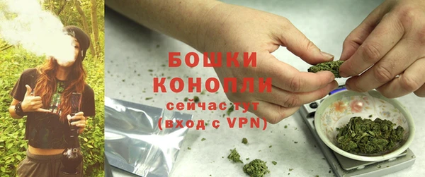 PSILOCYBIN Мегион