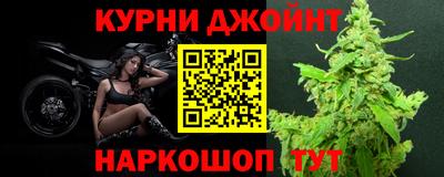 apvp Гатчина