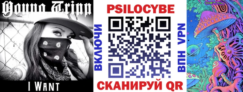 цена   Северск  Псилоцибиновые грибы GOLDEN TEACHER 