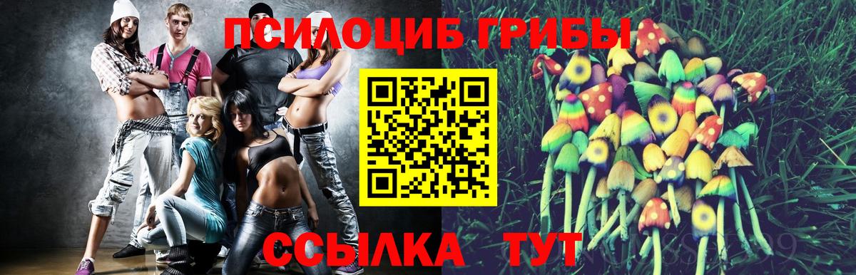 Северск  Псилоцибиновые грибы GOLDEN TEACHER  Вход с VPN 