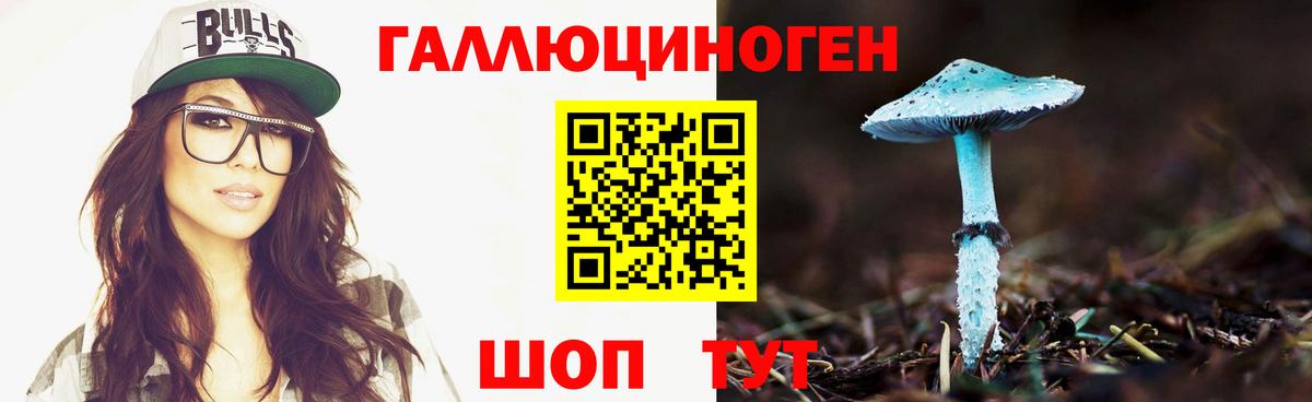 Галлюциногенные грибы прущие грибы Северск