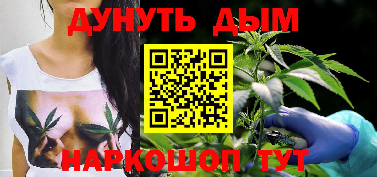 Марихуана сатива Северск
